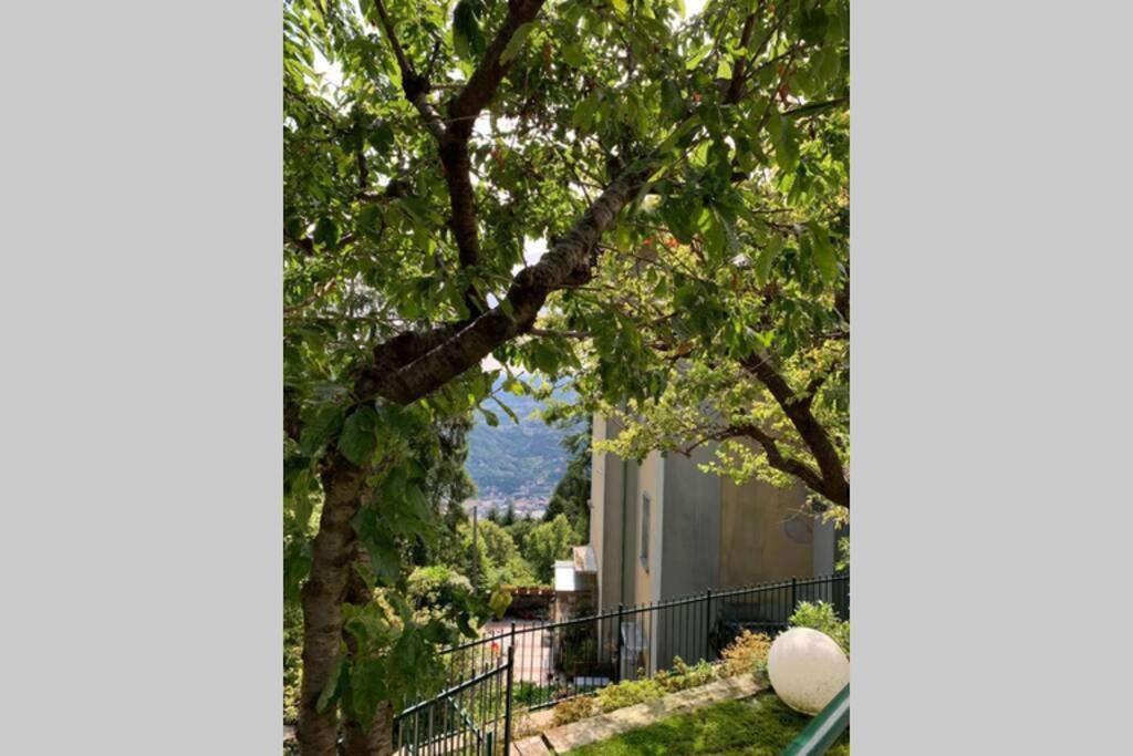 布鲁纳特The Cherry Garden House Loft Lusso公寓 外观 照片